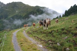 Bilder Bergwoche 28.7 4.8 2018 (29) (Kopie)